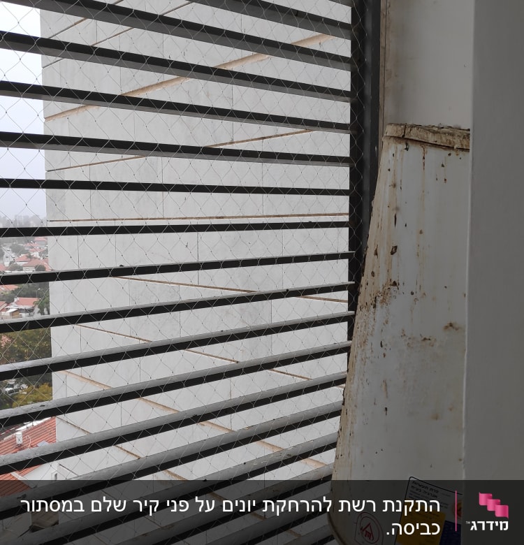 רשת מתכת מותקנת על חלון למניעת כניסת יונים